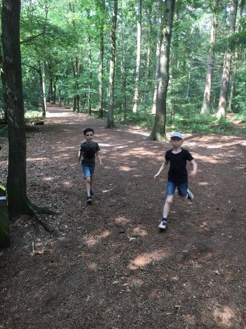 Zomer 2018