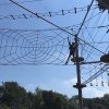 Zomerkamp 2018