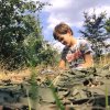 Nazomer 2018