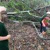 Nazomer 2018