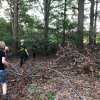 Nazomer 2018
