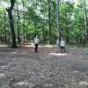 Nazomer 2018