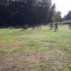 Groepsweekend 2018