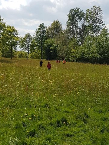 Zomer 2019