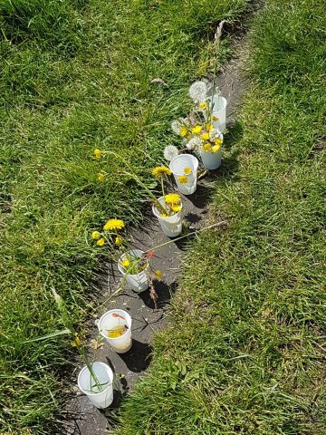 Zomer 2019