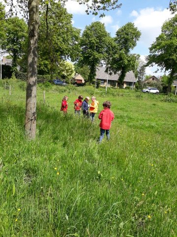 Zomer 2019