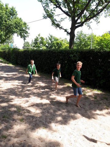 Zomer 2019