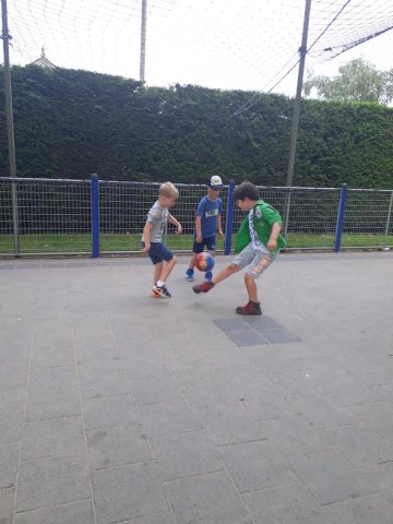 Zomer 2019