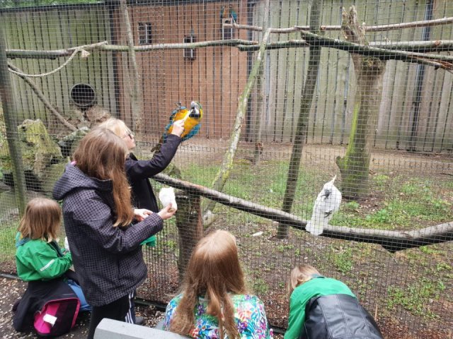 Zomerkamp 2019