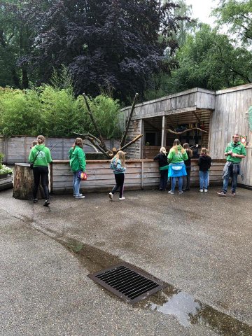 Zomerkamp 2019