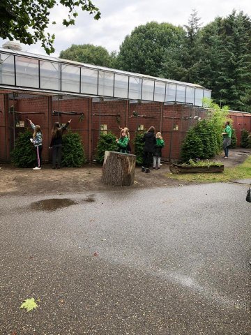 Zomerkamp 2019