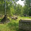 Zomerkamp 2019