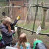 Zomerkamp 2019