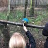 Zomerkamp 2019