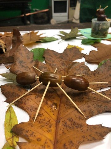Herfst 2019