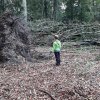 Herfst 2019