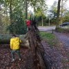 Herfst 2019